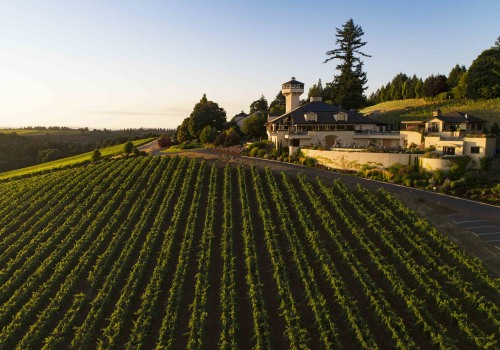 Enjoy a Safe Visit to Oregon's Estate Wineries