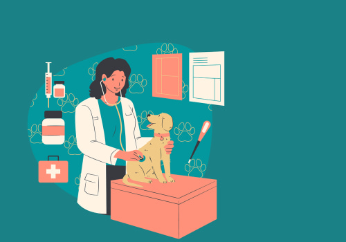 Travel Safety Tips for Pet Owners in Kyle, TX