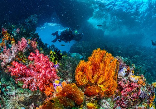 Travel Safety: Navigating Maui's Underwater Wonders For A Safe And Memorable Adventure
